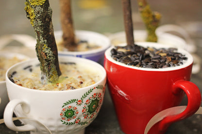 Vogeltasse: Füttern mit Freude